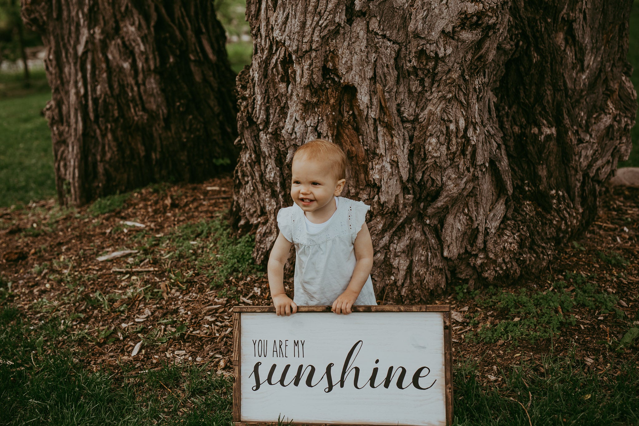 You Are My Sunshine