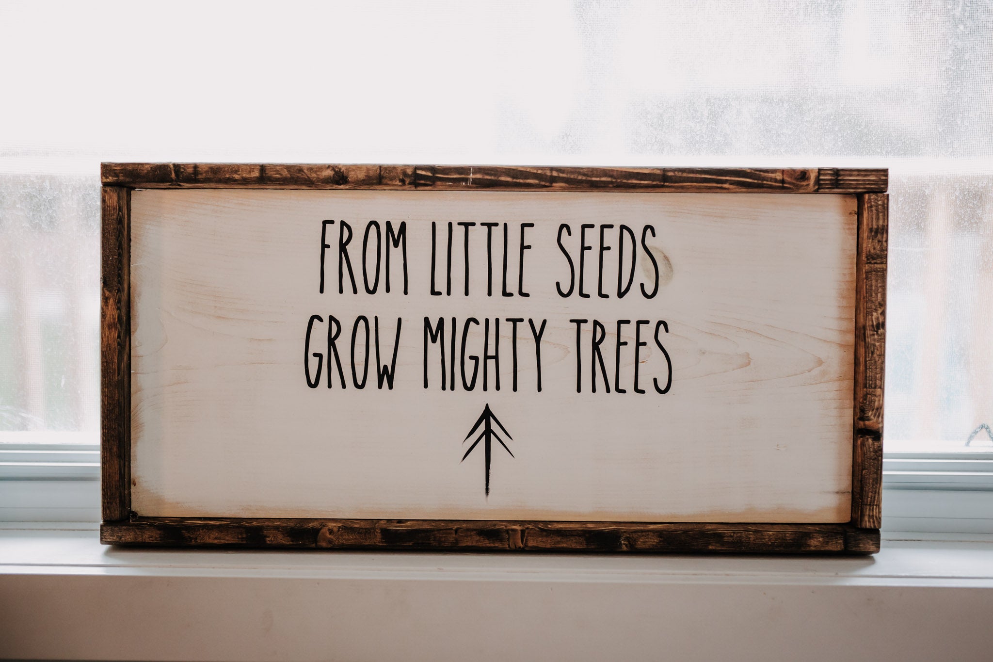 From Little Seeds Grow Mighty Trees